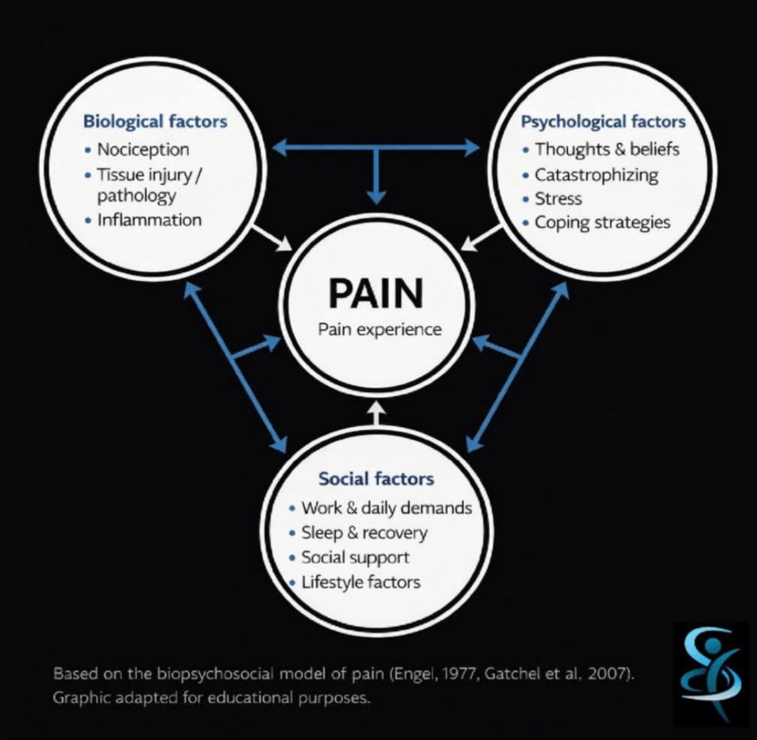 Diagram of the biopsychosocial model of pain